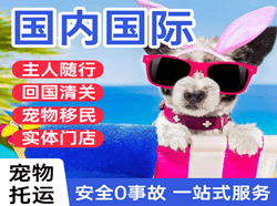 甘孜康定机场物流国际宠物托运 【国